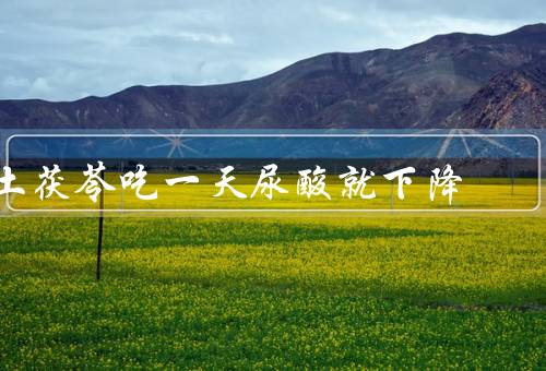 土茯苓吃一天尿酸就下降
