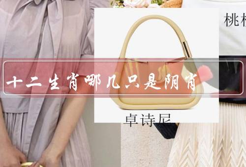 十二生肖哪几只是阴肖