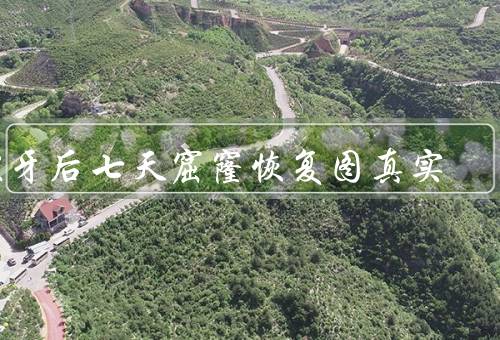 拔牙后七天窟窿恢复图真实