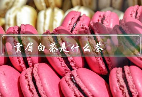 贡眉白茶是什么茶