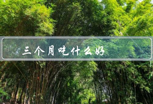 三个月吃什么好