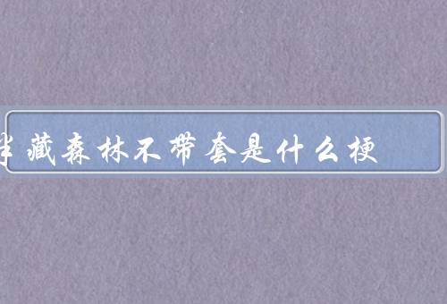 半藏森林不带套是什么梗
