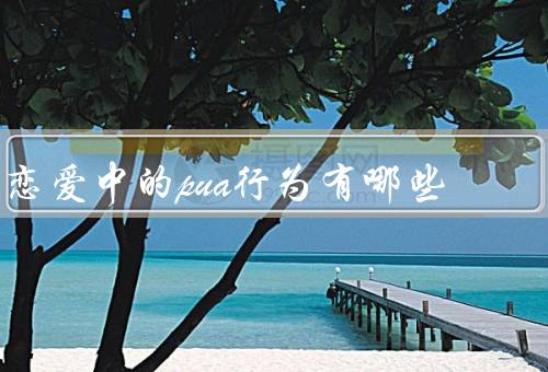 恋爱中的pua行为有哪些
