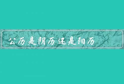 公历是阴历还是阳历