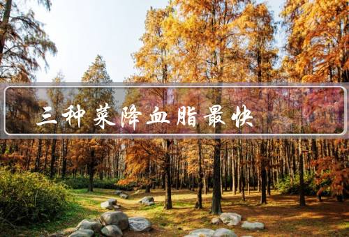 三种菜降血脂最快