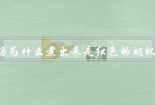 绿豆汤为什么煮出来是红色的蚂蚁