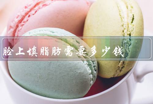 脸上填脂肪需要多少钱