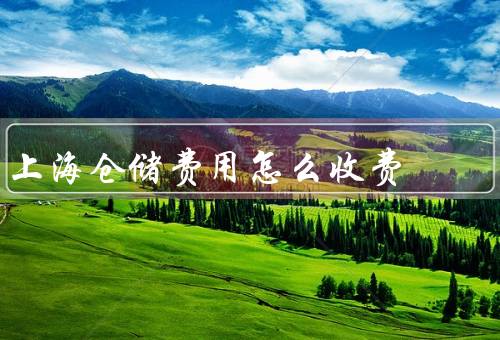 上海仓储费用怎么收费