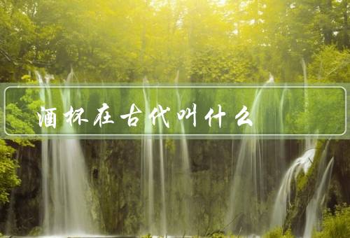 酒杯在古代叫什么