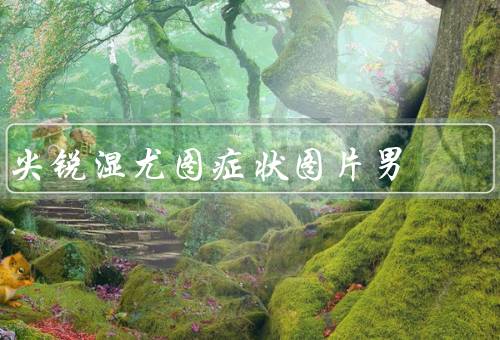 尖锐湿尤图症状图片男