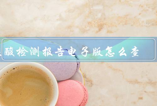 核酸检测报告电子版怎么查