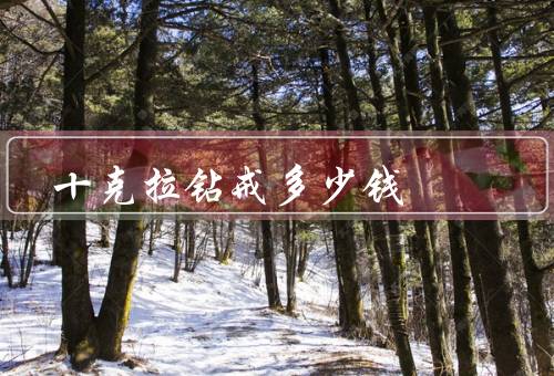 十克拉钻戒多少钱