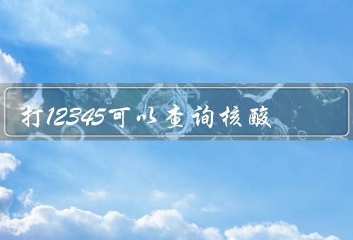 打12345可以查询核酸
