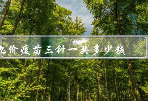 九价疫苗三针一共多少钱，4000元全部自费（可以分次支付）