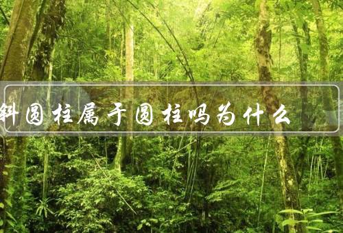 斜圆柱属于圆柱吗为什么