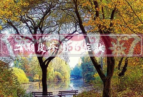 二期皮疹图片症状