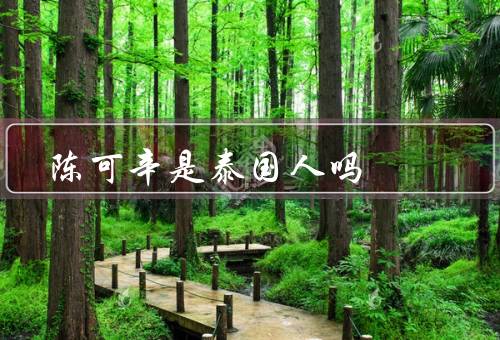 陈可辛是泰国人吗