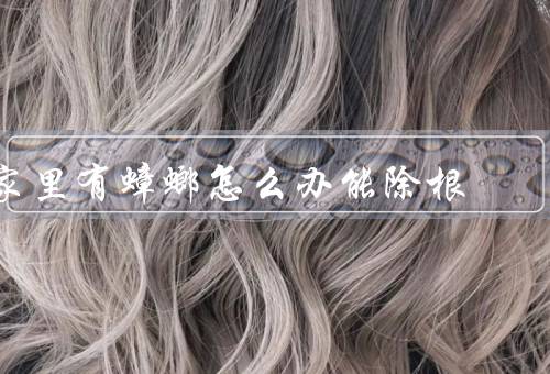 家里有蟑螂怎么办能除根