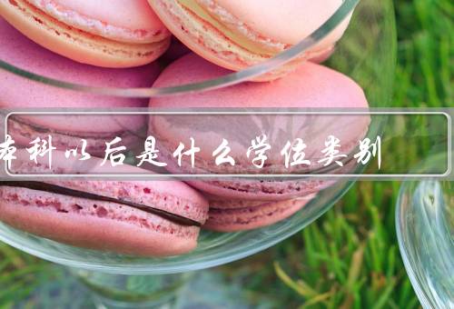 本科以后是什么学位类别