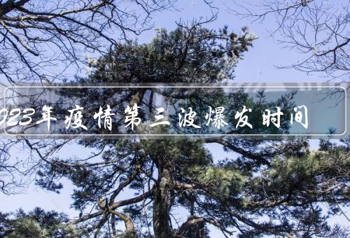 2023年疫情第三波爆发时间