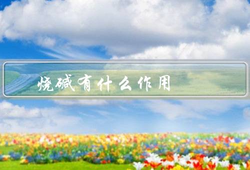 烧碱有什么作用