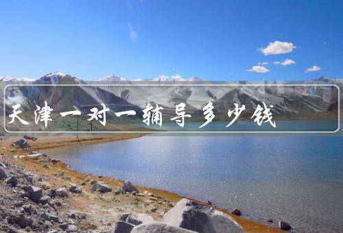 天津一对一辅导多少钱