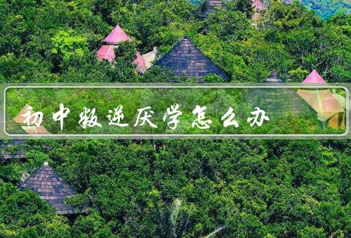 初中叛逆厌学怎么办