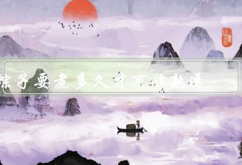 粽子要煮多久才可以熟透