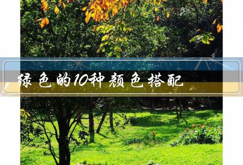 绿色的10种颜色搭配