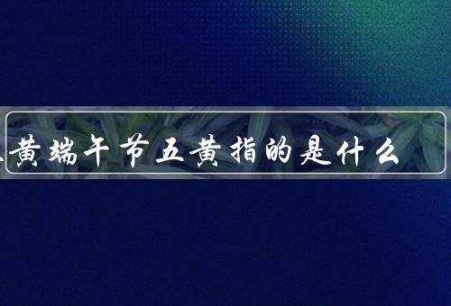 五黄端午节五黄指的是什么