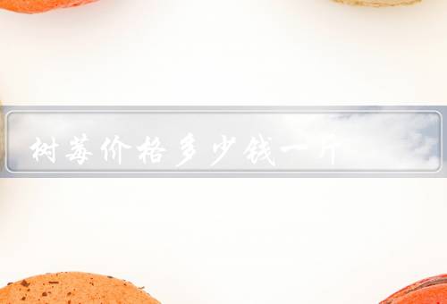 树莓价格多少钱一斤