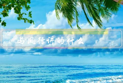 与凤行讲的什么
