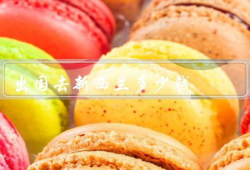 出国去新西兰多少钱