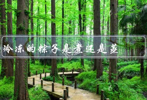 冷冻的粽子是煮还是蒸