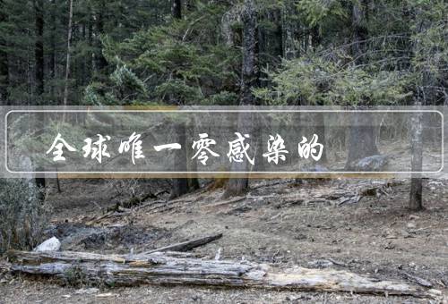 全球唯一零感染的