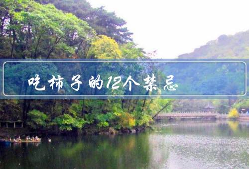 吃柿子的12个禁忌