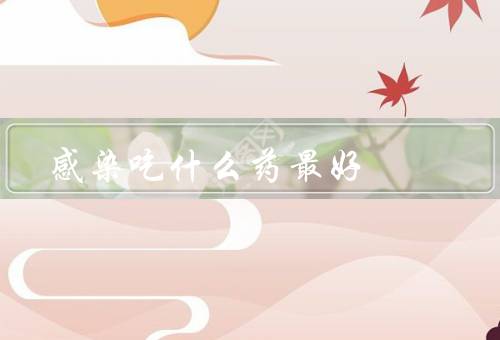 感染吃什么药最好