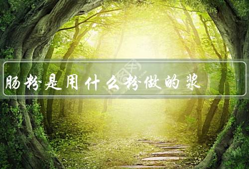 肠粉是用什么粉做的浆