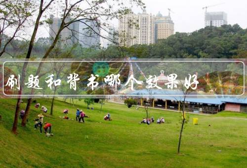 刷题和背书哪个效果好