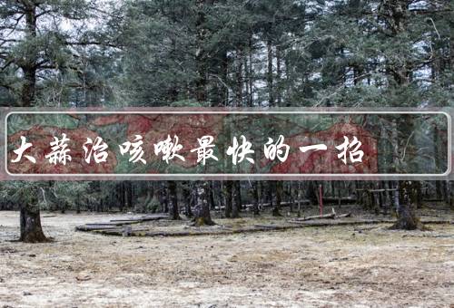 大蒜治咳嗽最快的一招