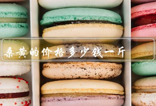 桑黄的价格多少钱一斤，100-1万元每斤（50年野生桑黄价值百万）
