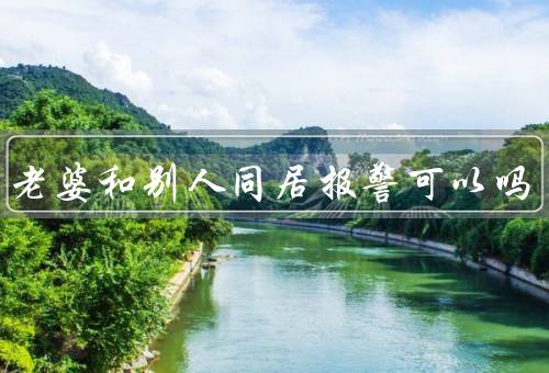 抓到老婆和别人同居报警可以吗