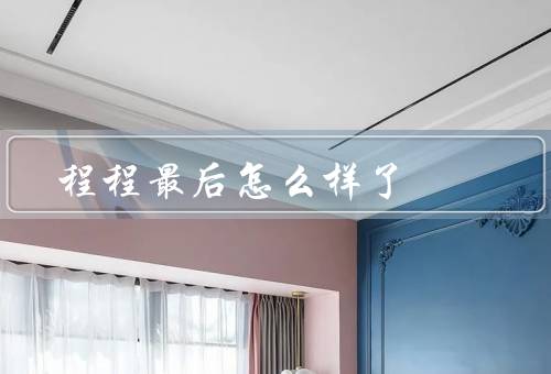 程程最后怎么样了