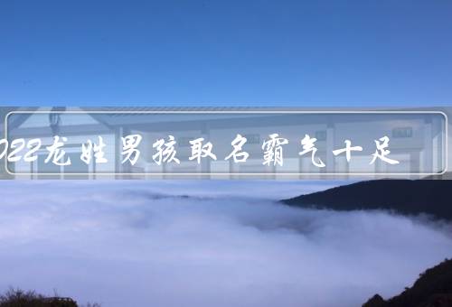 2022龙姓男孩取名霸气十足