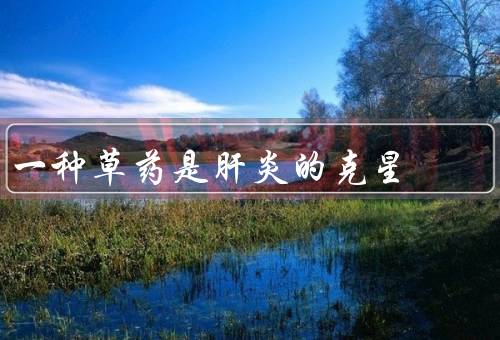 一种草药是肝炎的克星