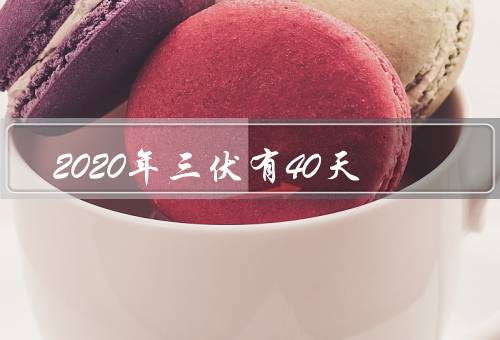 2020年三伏有40天