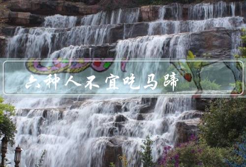 六种人不宜吃马蹄
