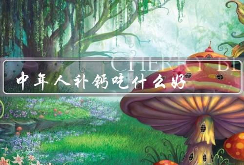 中年人补钙吃什么好