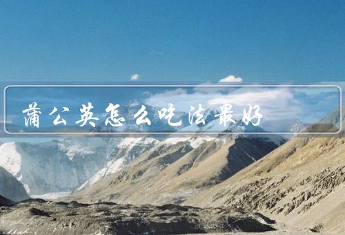 蒲公英怎么吃法最好