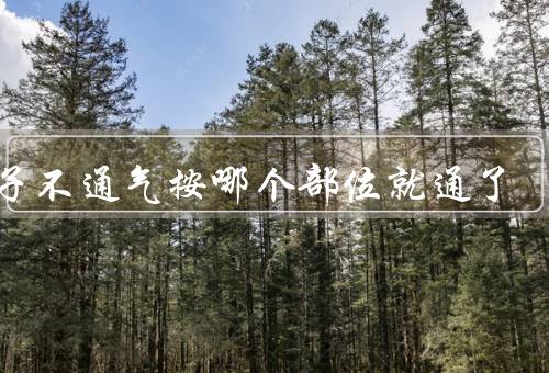 鼻子不通气按哪个部位就通了